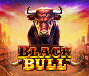 Black Bull